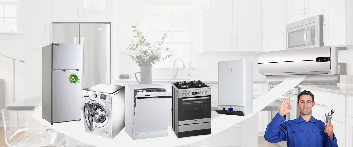 Araklı Electrolux Servisi